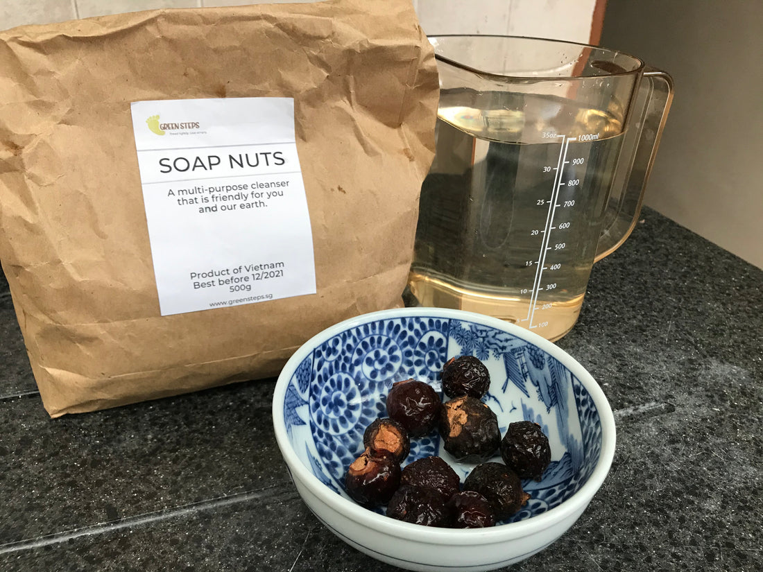 Dishwashing Trial Using Soap Nuts